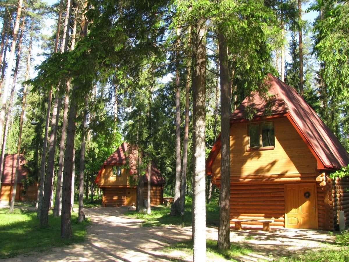 Загородные дома Guest House Gaujaspriedes Gauja